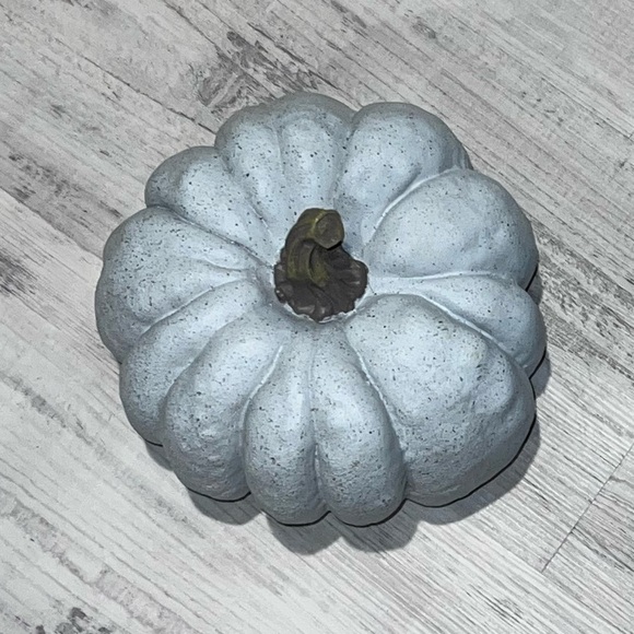 Gray Pumpkin - Picture 2 of 3